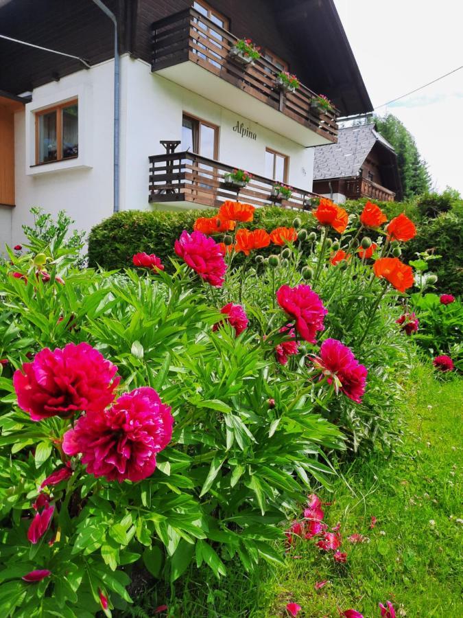 Apartament Haus Alpina Weissensee Zewnętrze zdjęcie