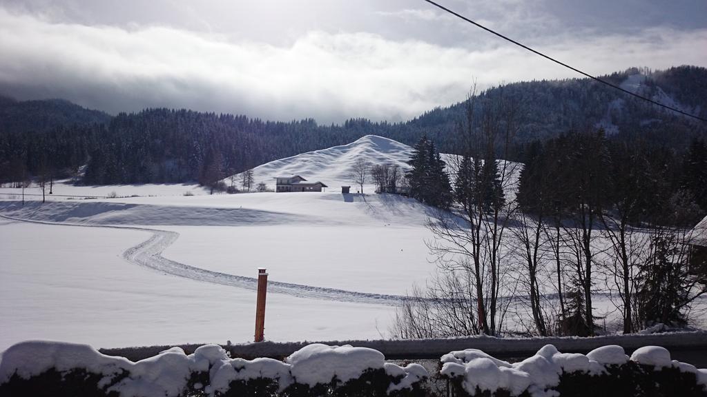 Apartament Haus Alpina Weissensee Zewnętrze zdjęcie